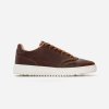 HUB Royal Cognac/Off White