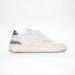 White/Silver