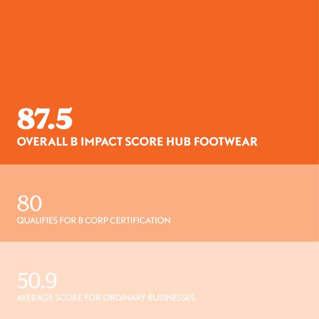 B Corp score